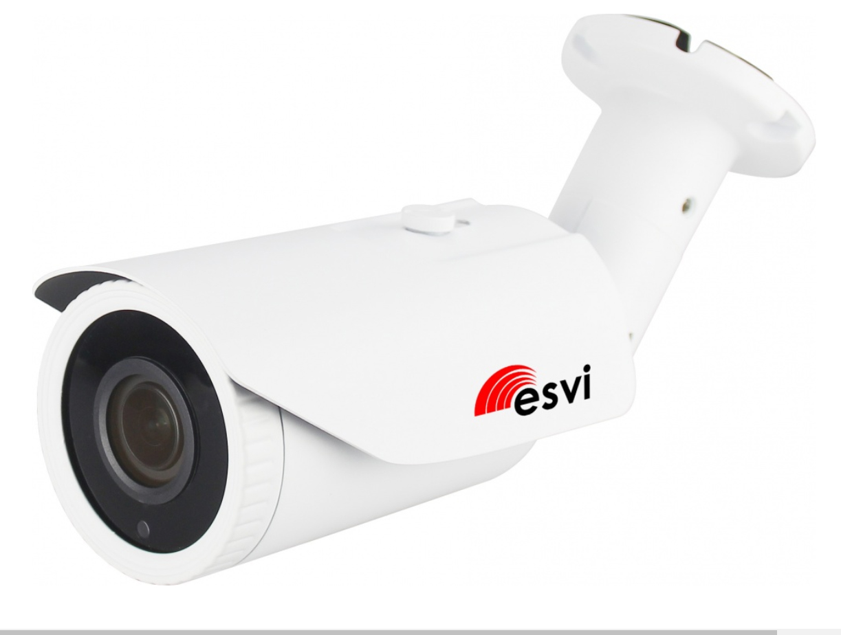 IP видеокамера ESVI EVC-ZM60-S20AF-P, f=2.7-13.5мм, 2.0Мп, POE, автофокус